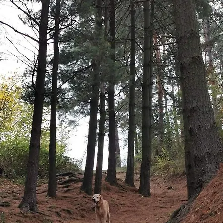 Apartment Kucerak111 *