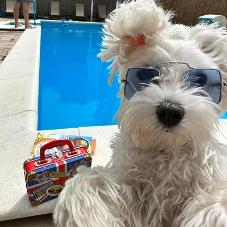 Kucerak111 Apartment *