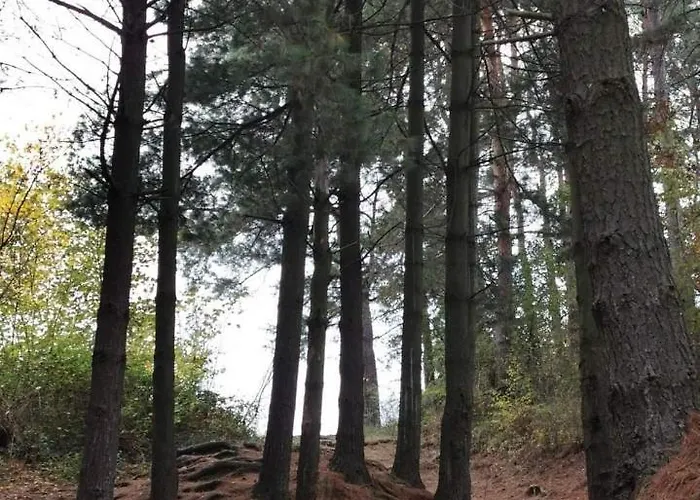 Διαμέρισμα Kucerak111 *