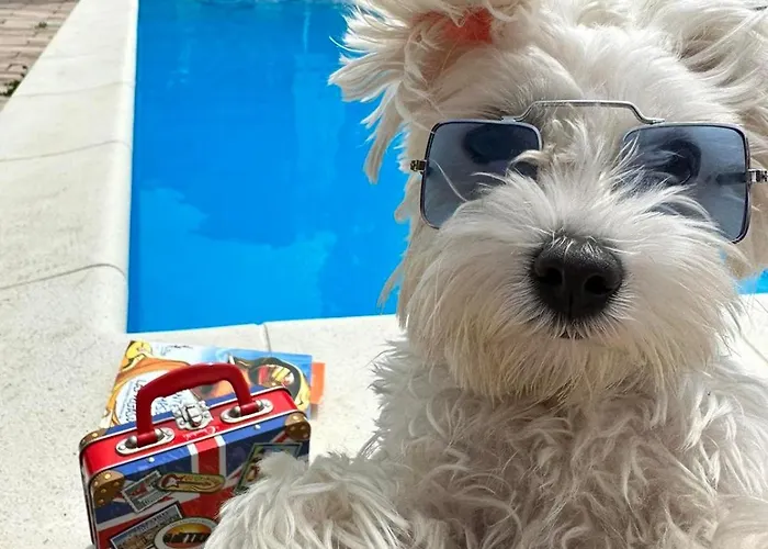 Kucerak111 Διαμέρισμα *